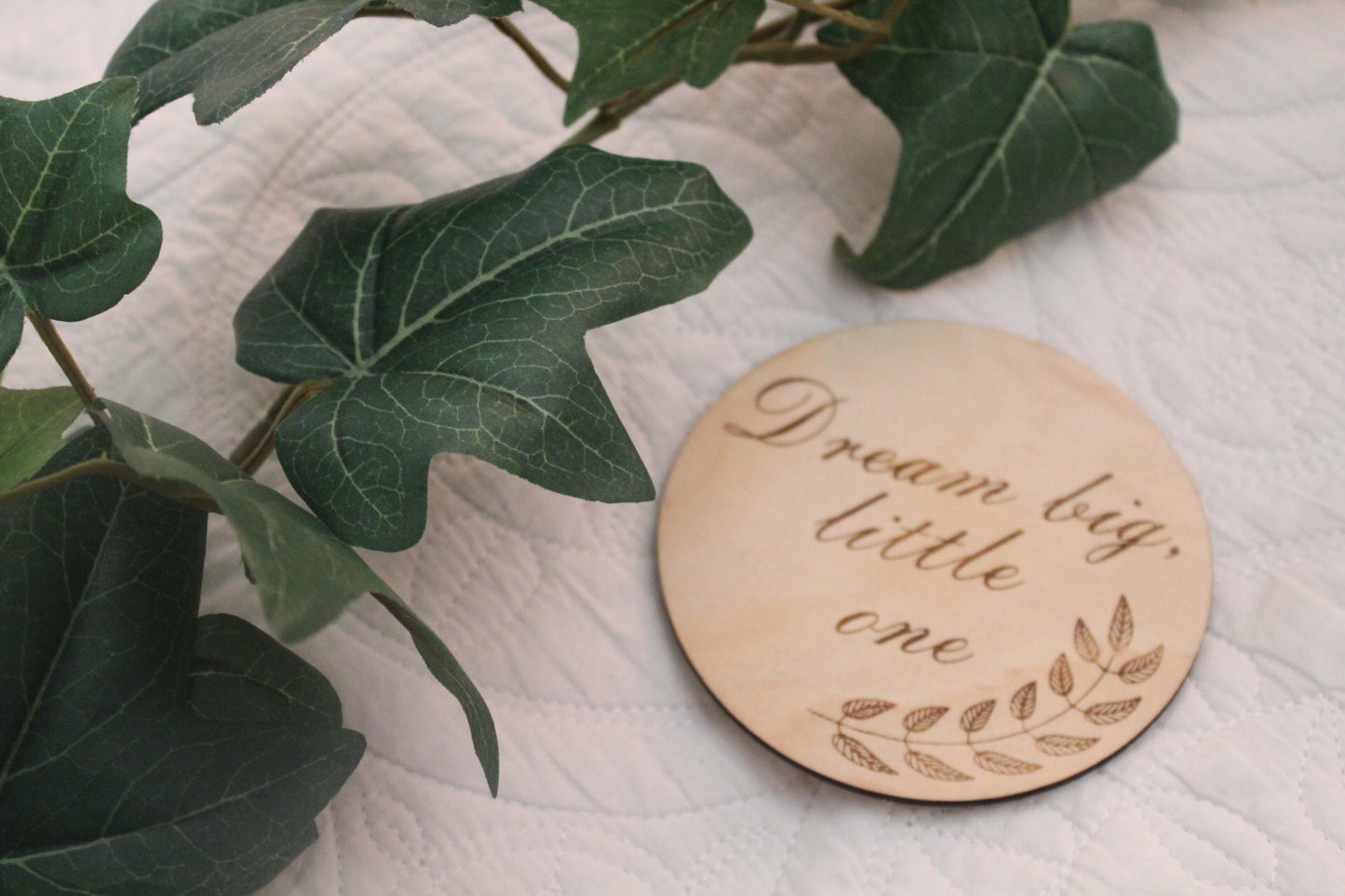 Dream Big Little One Raw Discs