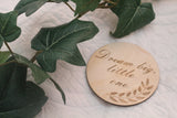Dream Big Little One Raw Discs