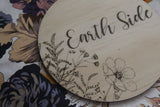 Earthside Raw discs