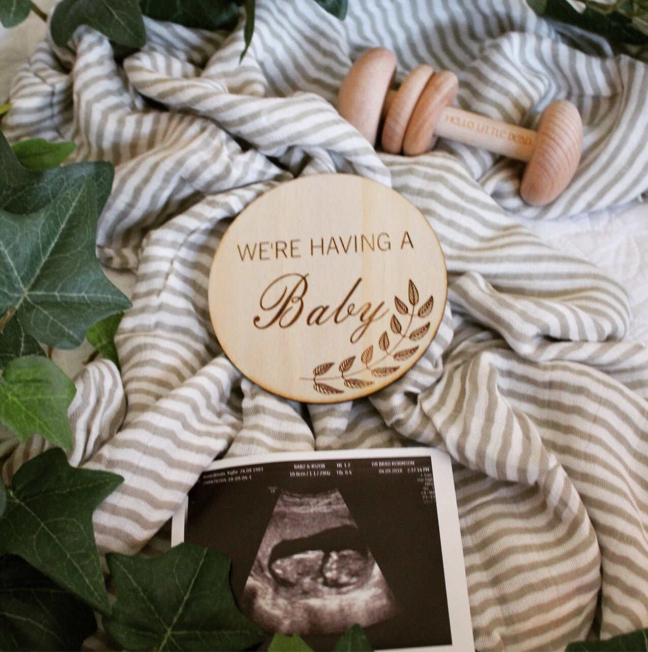 Adam + Eve Raw Baby Pregnancy Discs