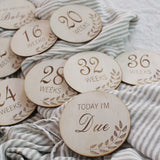 Adam + Eve Raw Baby Pregnancy Discs