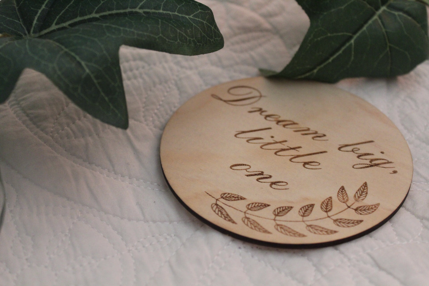 Dream Big Little One Raw Discs